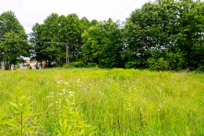 Dom- Głowaczowa- Podkarpacie