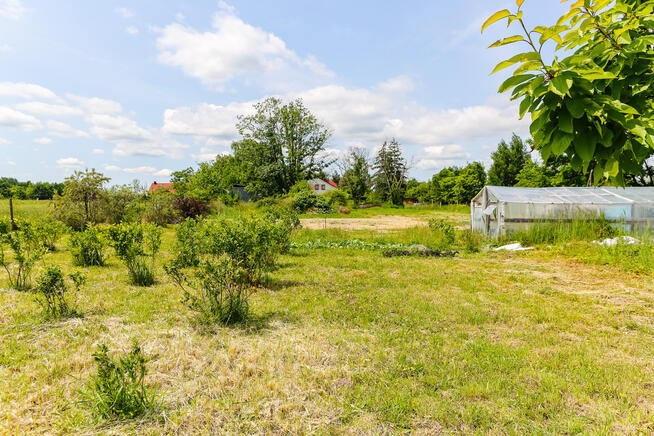 Działka rolno-budowlana w Biadolinach Radłowskich!
