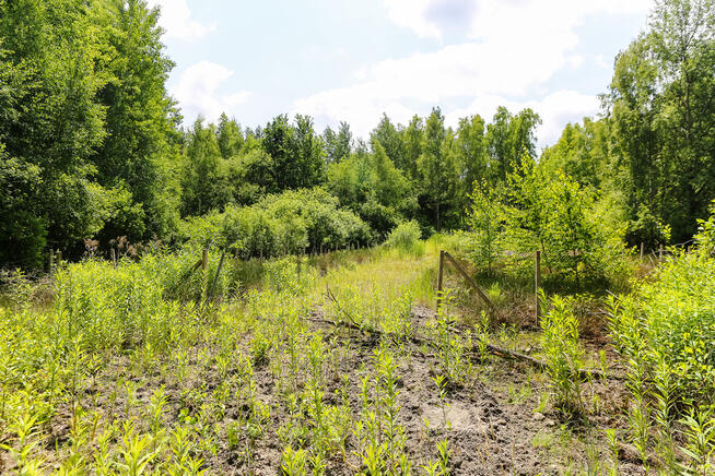 Działka budowlana- Bielcza- gmina Borzęcin!