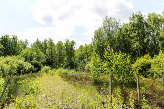 Działka budowlana- Bielcza- gmina Borzęcin!