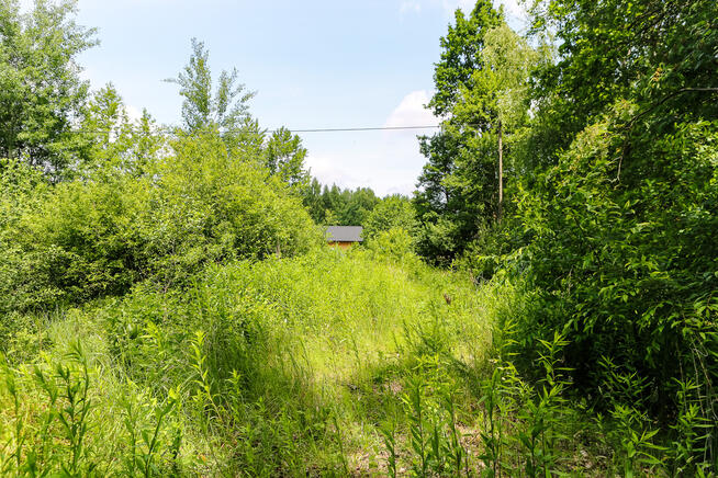 Działka budowlana- Bielcza- gmina Borzęcin!