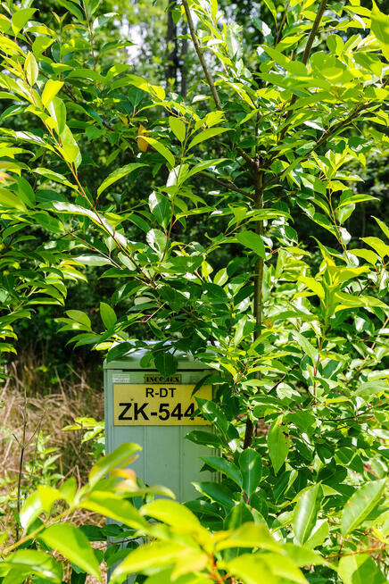 Działka budowlana- Bielcza- gmina Borzęcin!