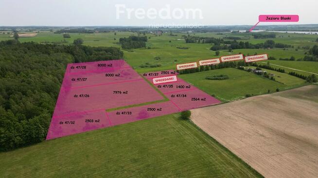 Działka przy lesie w pobliżu jezi, Blanki, 8000 m²
