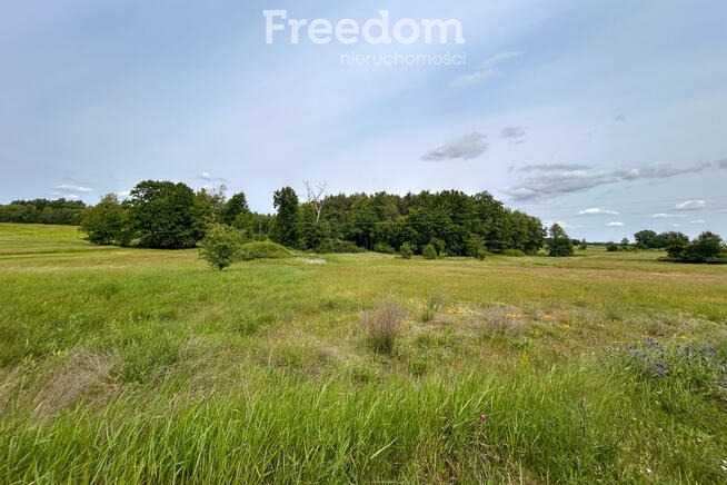 Duża działka przy lesie 25 min od Garwolina