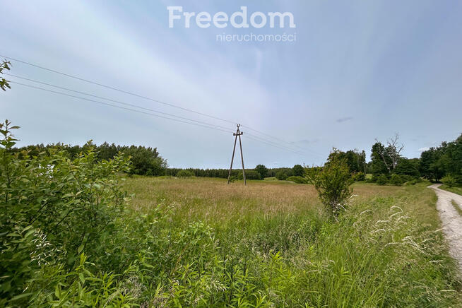 Duża działka przy lesie 25 min od Garwolina