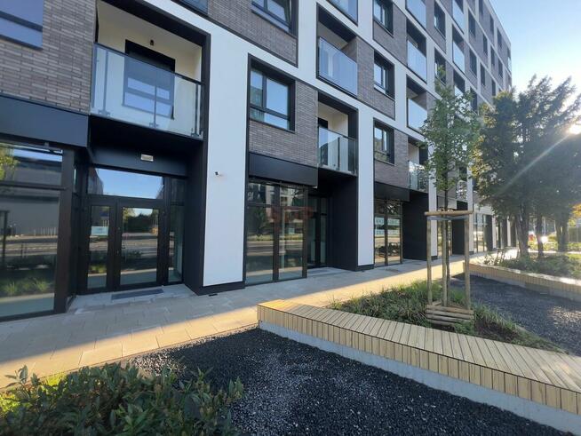 Lokal użytkowy Wrocław Stare Miasto, Stare Miasto, Braniborska