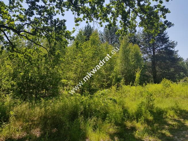 Działka 1825m2 z planem zagospodarowania Czarny La