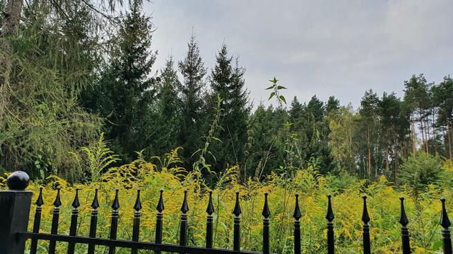 Działka budowlana Wiązowna