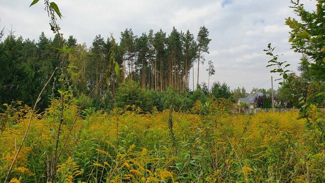 Działka budowlana Wiązowna