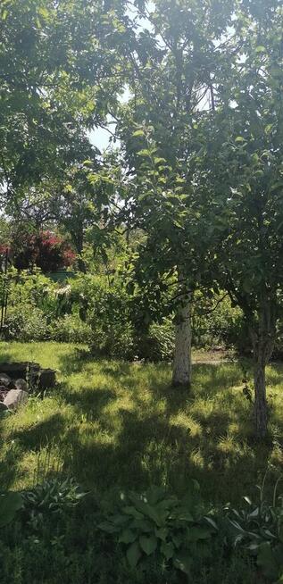 Działka ROD Jarzębina Altana murowana dwukondygnacyjna, wędz