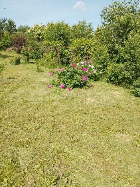 Działka w Regielnicy