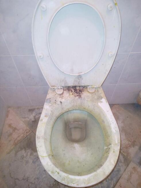 Sprzątanie biur, mieszkań, domów. Także po remontach