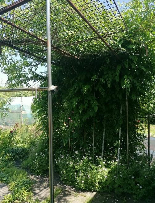 Działka ROD Jarzębina Altana murowana dwukondygnacyjna, wędz