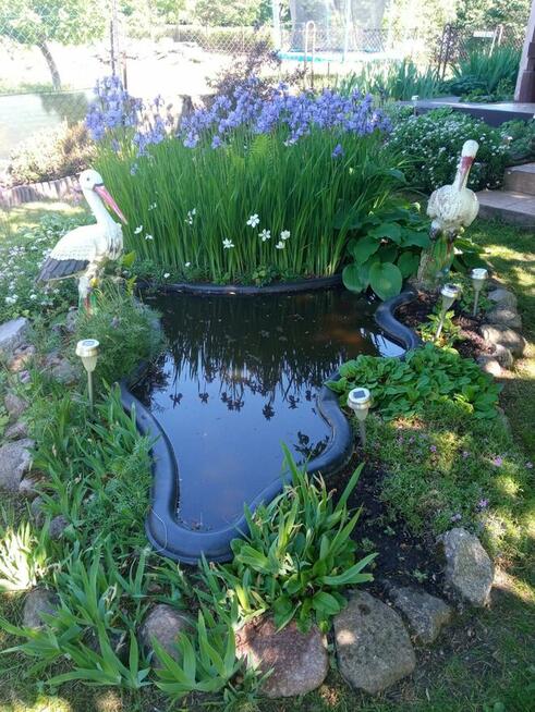 Działka rekreacyjna