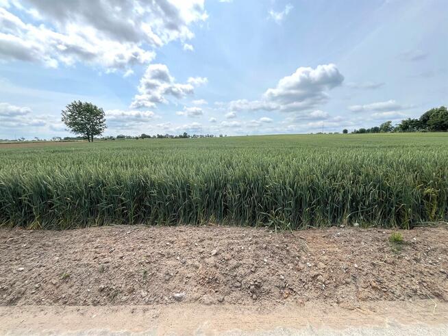 Działka budowlana Nowa Wieś, Rudunki, gm. Aleksandrów Kuj.