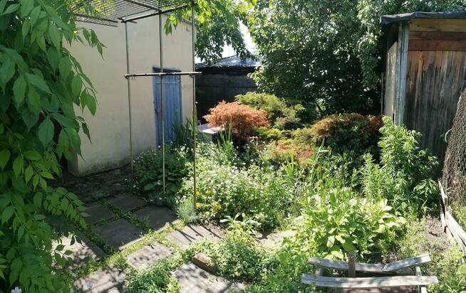 Działka ROD Jarzębina Altana murowana dwukondygnacyjna, wędz