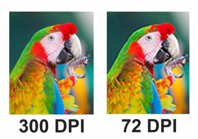 Wizytówki 500 sztuk - projekt gratis