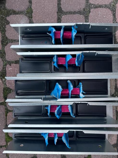 Zwalczanie Insektów