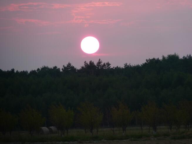 Działka rolno-budowlana 6300m w cichej i zielonej okolicy