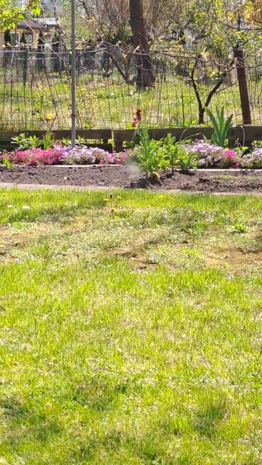 Działka ROD Jarzębina Altana murowana dwukondygnacyjna, wędz