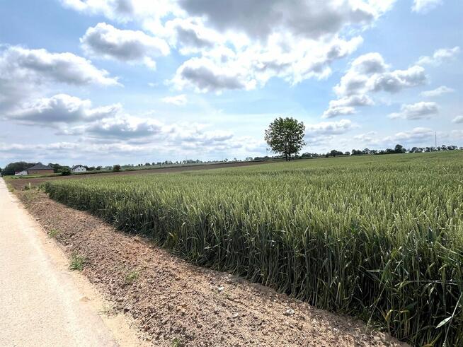 Działka budowlana Nowa Wieś, Rudunki, gm. Aleksandrów Kuj.