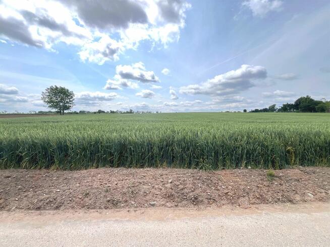 Działka budowlana Nowa Wieś, Rudunki, gm. Aleksandrów Kuj.