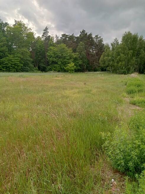 Działa budowlana ul. Wilcza (Reymonta)