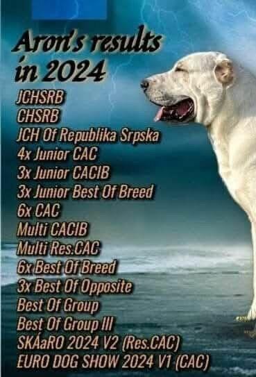 Owczarek środkowoazjatycki