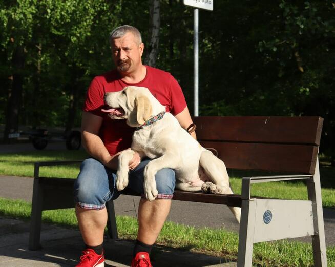 Owczarek środkowoazjatycki