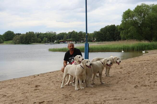 Owczarek środkowoazjatycki