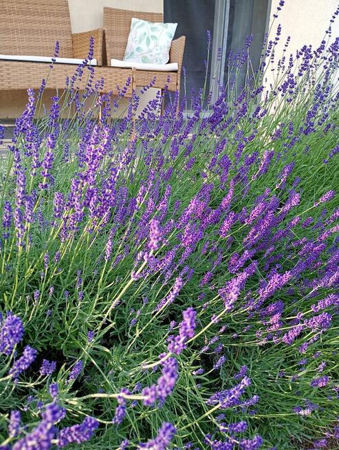 Dom 110 M2 oraz działka 1730 m2