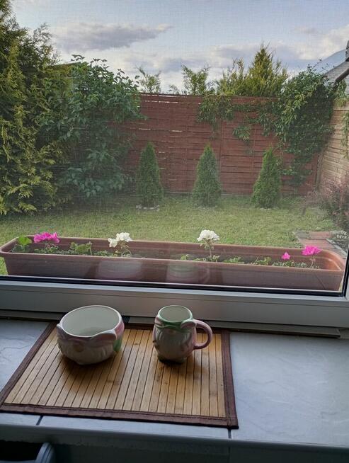 Dom 110 M2 oraz działka 1730 m2