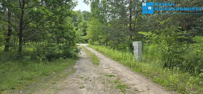 Działka pow. 1386m2 z prywatnym lasem pow. 5511m2