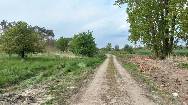 Działka na sprzedaż Kicko, gm. Stara Dąbrowa