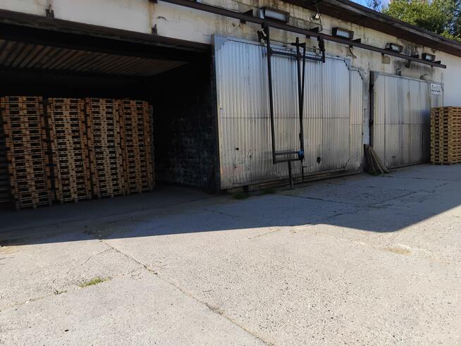 Lokal użytkowy Domaszków gm. Międzylesie