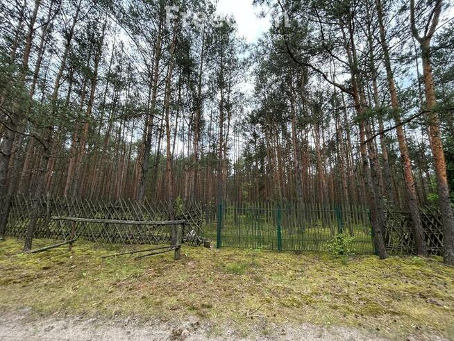 Działka pod zabudowę mieszkaniową leśny zakątek