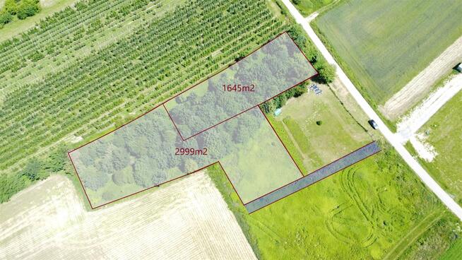 Działka budowlana Dębno Sufczyn, Sufczyn