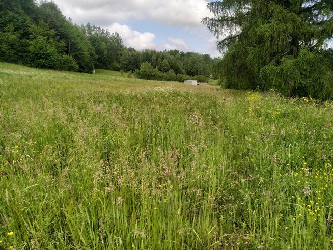 Atrakcyjna działka w gminie Solina