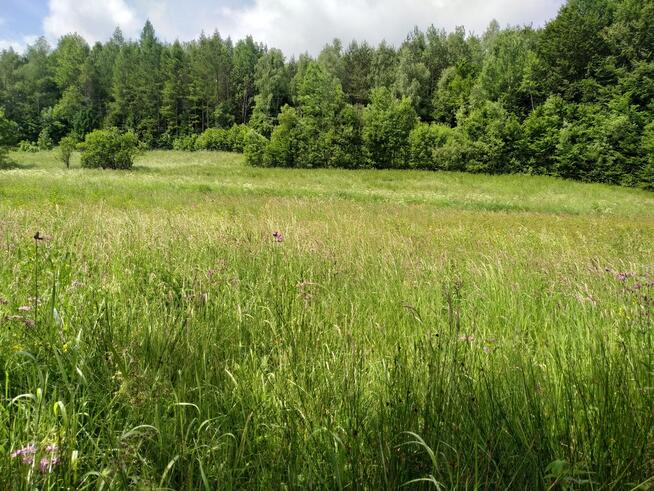 Atrakcyjna działka w gminie Solina