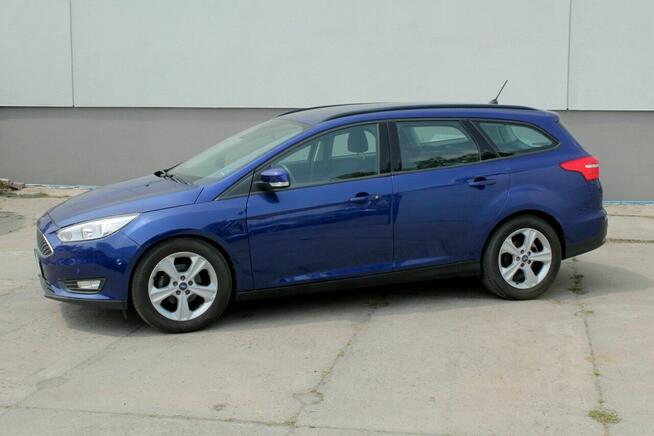 Ford Focus park assist, niski przebieg, podgrzewane fotele, klimatyzacja automat