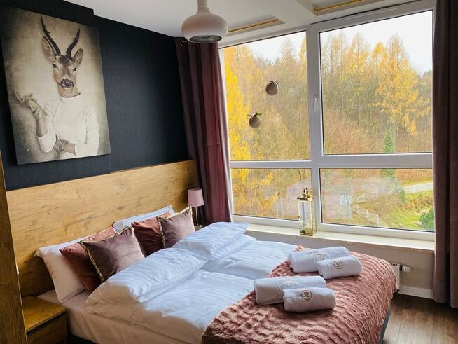Widokowy apartament w kurorcie Kozubnik
