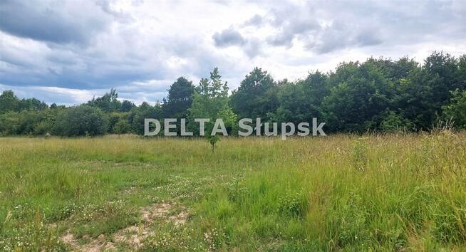 Działka Gałęzinowo gm. Słupsk