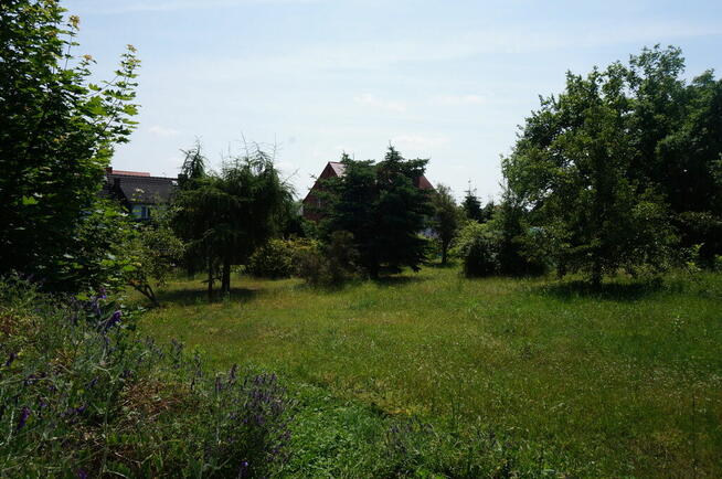 Działka budowlana z domemw Kostrzynie n. Odrą