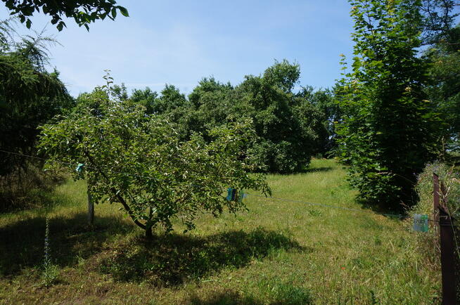 Działka budowlana z domemw Kostrzynie n. Odrą