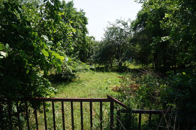 Dom do remontu z ładną działką Kostrzynie n. Odrą