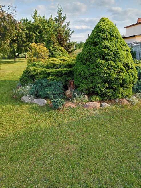 Dom 110 M2 oraz działka 1730 m2