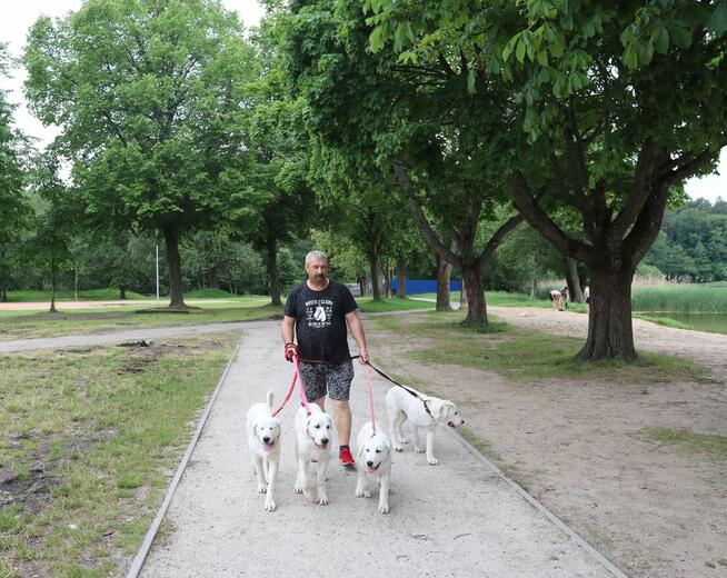 Owczarek środkowoazjatycki