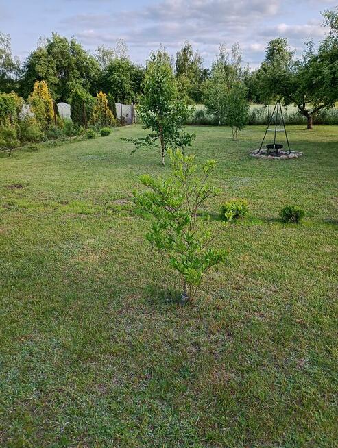 Dom 110 M2 oraz działka 1730 m2