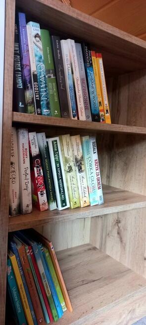 Domek w Górach, domek z kominkiem, Limanowa -Nowy Sącz