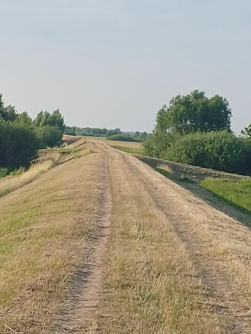 Koleżankę na rower ,we Dwoje raźniej :-)